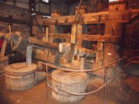 die Holzhammer