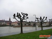 WÜrzburg - Alte MainbrÜcke &ndash; &copy; Konrad FÜssel (Eberhardt TRAVEL)