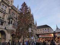 München - Weihnachtsbaum &ndash; &copy; Claudia Bernhardt (Eberhardt TRAVEL)