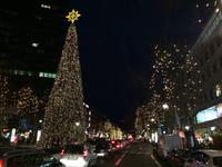 075 Kurfuerstendamm &ndash; &copy; Ngoc Anh Nguyen (Eberhardt TRAVEL)