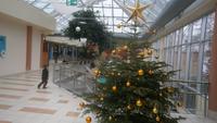 Weihnachtsdeko &ndash; &copy; Petra Sauer (Eberhardt TRAVEL)