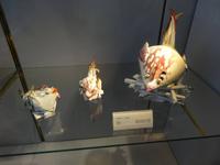 Porzellanmanufaktur Meißen &ndash; &copy; Christina Günther (Eberhardt TRAVEL)