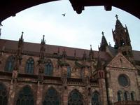Freiburg (Breisgau) &ndash; &copy; Steffen Mucke (Eberhardt TRAVEL)