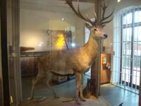 Müritzeum &ndash; &copy; Harald Kühne (Eberhardt TRAVEL)