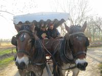 IMG_5269  na,wer schaut denn da? - Kerstin Veit &ndash; &copy; Kerstin Veit (Eberhardt TRAVEL)
