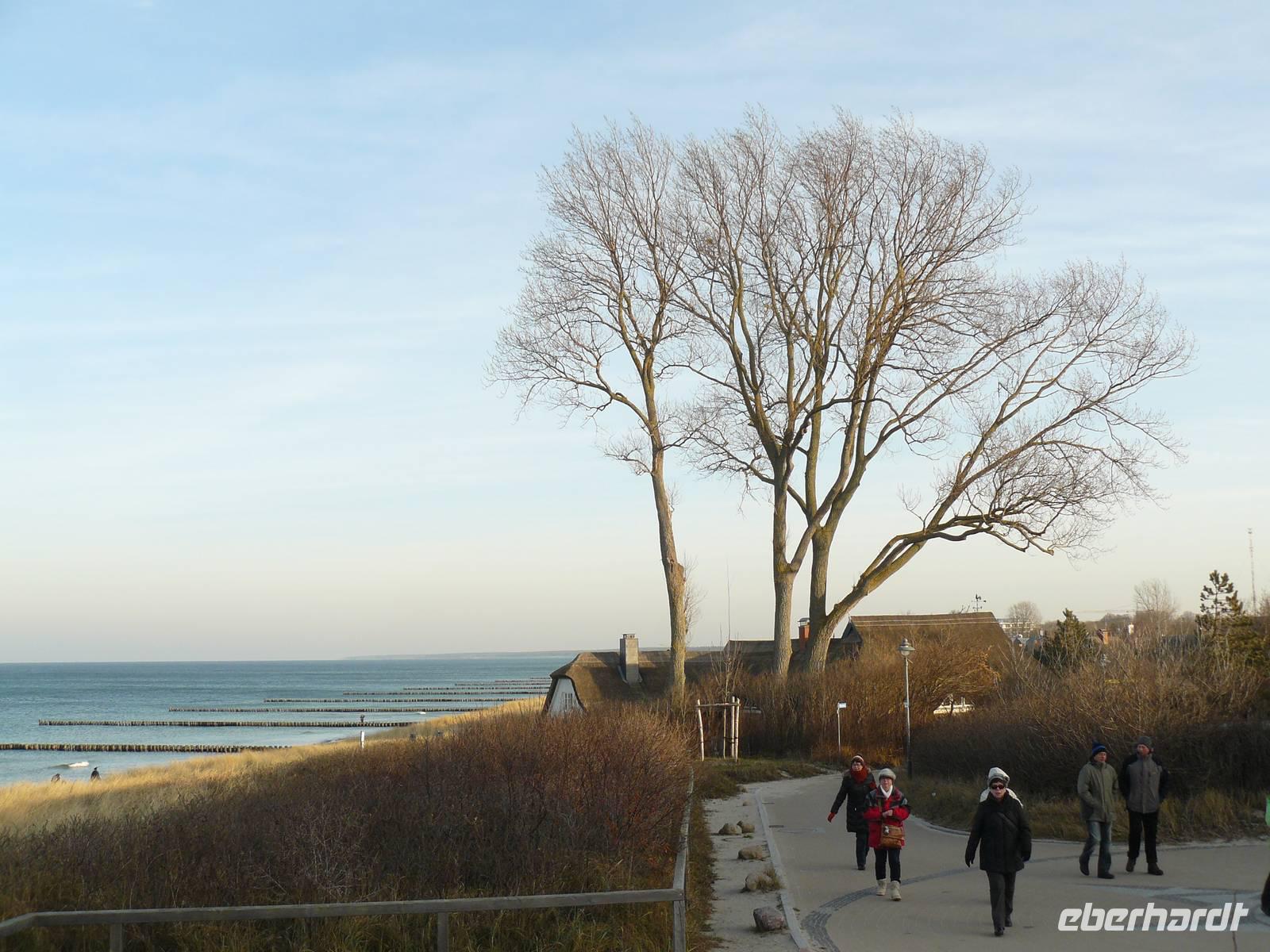Darss Ahrenshoop &ndash; &copy; Margret van Blokland (Eberhardt TRAVEL)