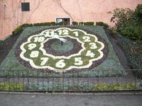 Blumenuhr in Zittau &ndash; &copy; Anne Hiecke (Eberhardt TRAVEL)