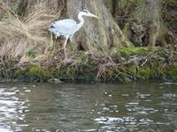 an der Spree  &ndash; &copy; Steffi Zimmermann (Eberhardt TRAVEL)