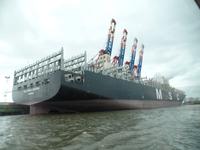 Containerschiff MSC &ndash; &copy; Elke Reuter (Eberhardt TRAVEL)