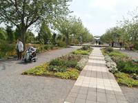 Europa Rosarium Sangerhausen &ndash; &copy; Ingrid Langer (Eberhardt TRAVEL)