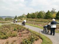 Europa Rosarium Sangerhausen &ndash; &copy; Ingrid Langer (Eberhardt TRAVEL)