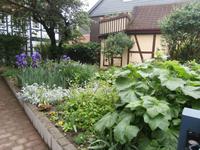 Goslar Stadtführung-herrlicher Garten &ndash; &copy; Ingrid Langer (Eberhardt TRAVEL)