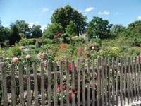 Klostergarten &ndash; &copy; Elke Reuter (Eberhardt TRAVEL)