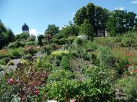 Klostergarten &ndash; &copy; Elke Reuter (Eberhardt TRAVEL)
