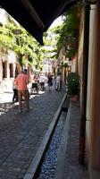 Freiburg (3) &ndash; &copy; Jörg Nesse (Eberhardt TRAVEL)