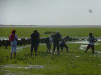 Amrum &ndash; &copy; Kerstin Hugel (Eberhardt TRAVEL)