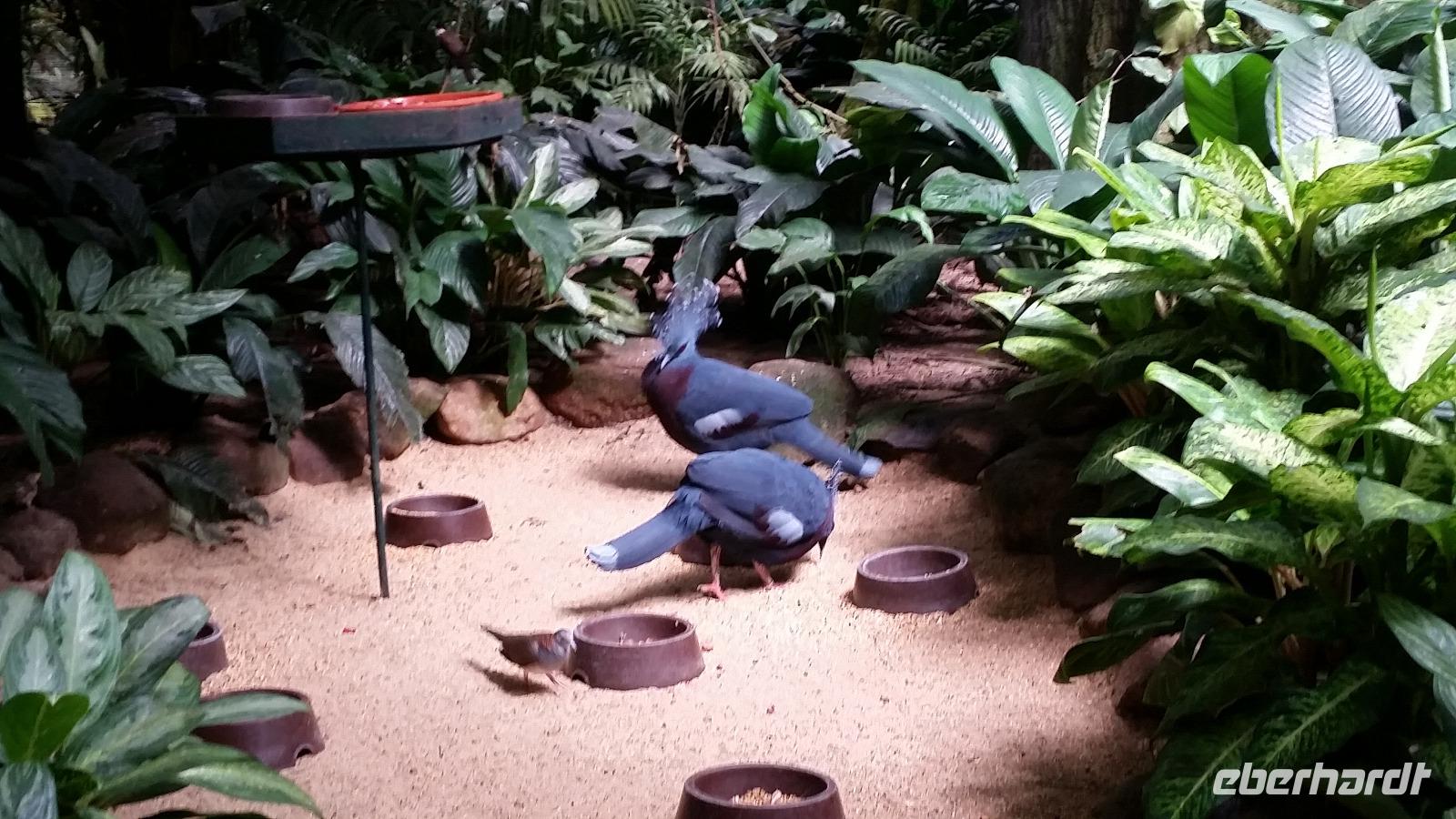 Vogelpark Walsrode &ndash; &copy; Christina Schwarz (Eberhardt TRAVEL)