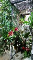 Vogelpark Walsrode &ndash; &copy; Christina Schwarz (Eberhardt TRAVEL)