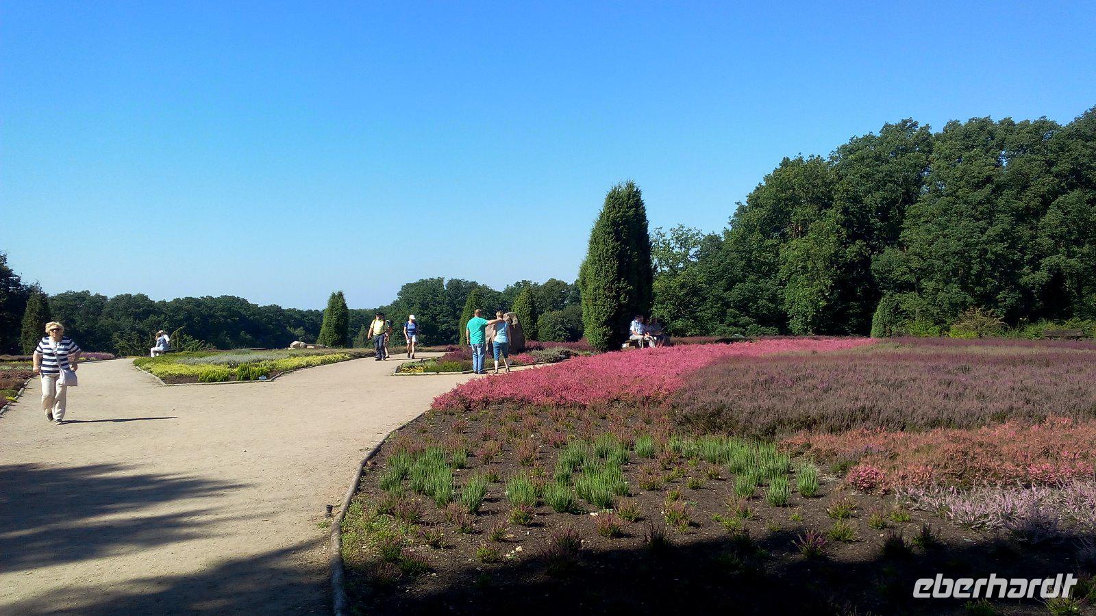 LSG Höpen-Heidegarten &ndash; &copy; Gisela Gerlach (Eberhardt TRAVEL)