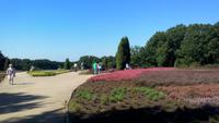 LSG Höpen-Heidegarten &ndash; &copy; Gisela Gerlach (Eberhardt TRAVEL)