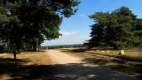 LSG Höpen-Heidegarten &ndash; &copy; Gisela Gerlach (Eberhardt TRAVEL)