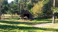 Neuenkirchen-Schäferhof &ndash; &copy; Gisela Gerlach (Eberhardt TRAVEL)