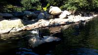 Walsrode. Weltvogelpark &ndash; &copy; Gisela Gerlach (Eberhardt TRAVEL)
