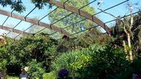 Walsrode. Weltvogelpark &ndash; &copy; Gisela Gerlach (Eberhardt TRAVEL)