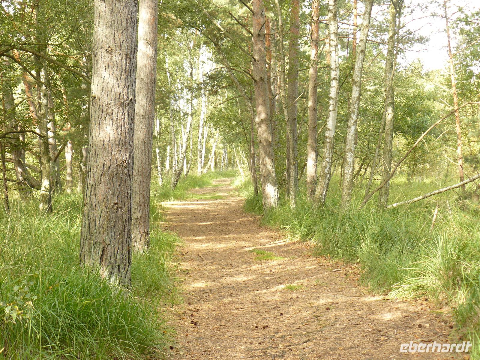 Rinitzer Moor 1 &ndash; &copy; Margret van Blokland (Eberhardt TRAVEL)