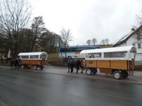 24.12. unsere Kutschen stehen bereit &ndash; &copy; Elke Reuter (Eberhardt TRAVEL)