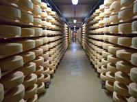 Der Käse reift.