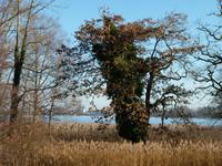Herreninsel Chiemsee &ndash; &copy; Steffi Zimmermann (Eberhardt TRAVEL)