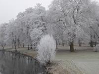 Bad Kissingen
