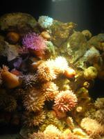 Ozeaneum 4 &ndash; &copy; Margret van Blokland (Eberhardt TRAVEL)