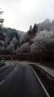 Winterlandschaft aus Bus (5) &ndash; &copy; Cornelia Benz (Eberhardt TRAVEL)