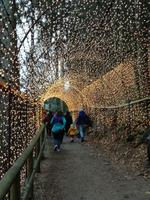Triberger Weihnachtszauber &ndash; &copy; Sophie Hof (Eberhardt TRAVEL)