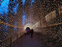 Triberger Weihnachtszauber &ndash; &copy; Sophie Hof (Eberhardt TRAVEL)