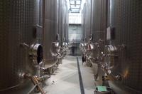 Eine Führung und Verkostung im berühmten Weingut Wackerbarth &ndash; &copy; Kathrin Kubik (Eberhardt TRAVEL)