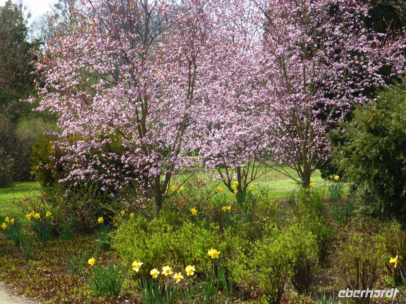 Bad Pyrmont Kurpark &ndash; &copy; Kerstin Hugel (Eberhardt TRAVEL)