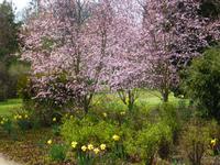 Bad Pyrmont Kurpark &ndash; &copy; Kerstin Hugel (Eberhardt TRAVEL)