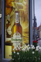 Stadtrundgang in Dresden - Neumarkt &ndash; &copy; Kristin Weigel (Eberhardt TRAVEL)