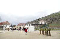 Am Weingut Schloss Wackerbarth in Radebeul &ndash; &copy; Kristin Weigel (Eberhardt TRAVEL)