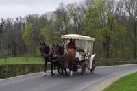 Frühlingswanderung in Moritzburg &ndash; &copy; Kristin Weigel (Eberhardt TRAVEL)