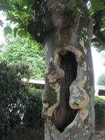 wer wohnt denn da &ndash; &copy; Kerstin Veit (Eberhardt TRAVEL)