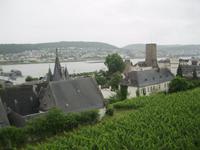 Rüdesheim &ndash; &copy; Kerstin Veit (Eberhardt TRAVEL)