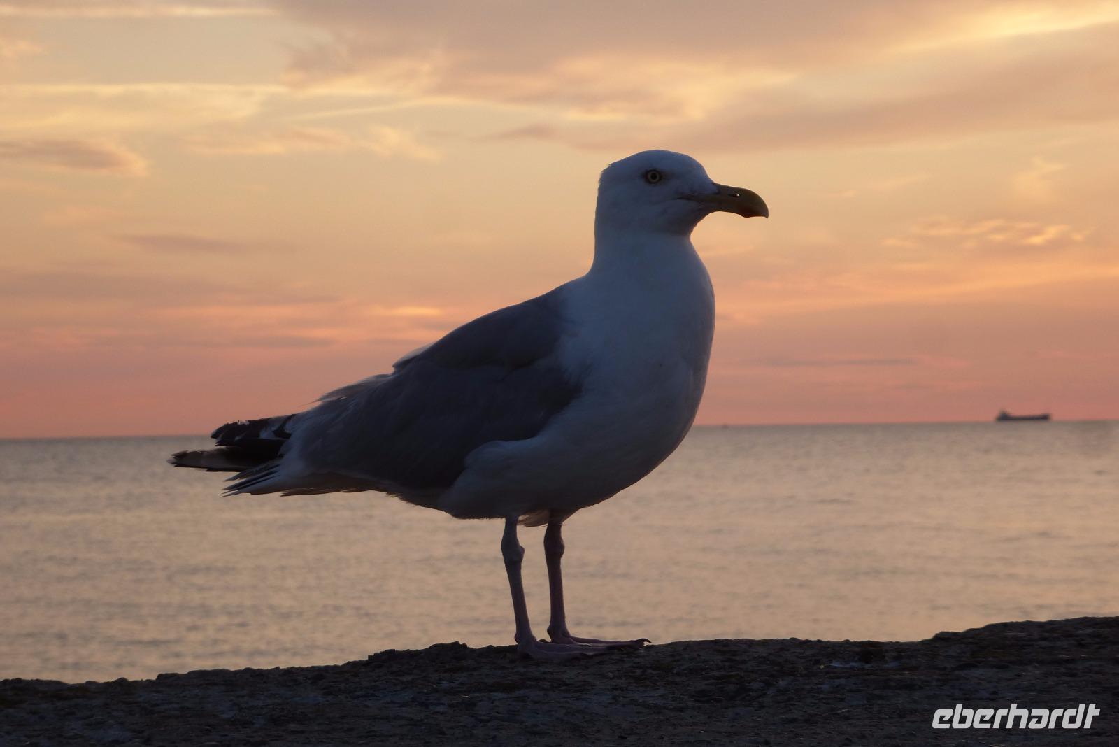 Warnemünde &ndash; &copy; Gabriele Sauer (Eberhardt TRAVEL)