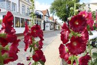 Warnemünde (9) &ndash; &copy; Gabriele Sauer (Eberhardt TRAVEL)