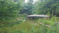 Radtour ins Dresdner Elbtal - im Großen Garten &ndash; &copy; Kristin Weigel (Eberhardt TRAVEL)