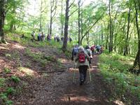Wanderung mit dem Revierförster auf dem Holzweg rund um Eisenach  &ndash; &copy; Kristin Weigel (Eberhardt TRAVEL)