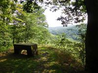 Wanderung mit dem Revierförster auf dem Holzweg rund um Eisenach  &ndash; &copy; Kristin Weigel (Eberhardt TRAVEL)